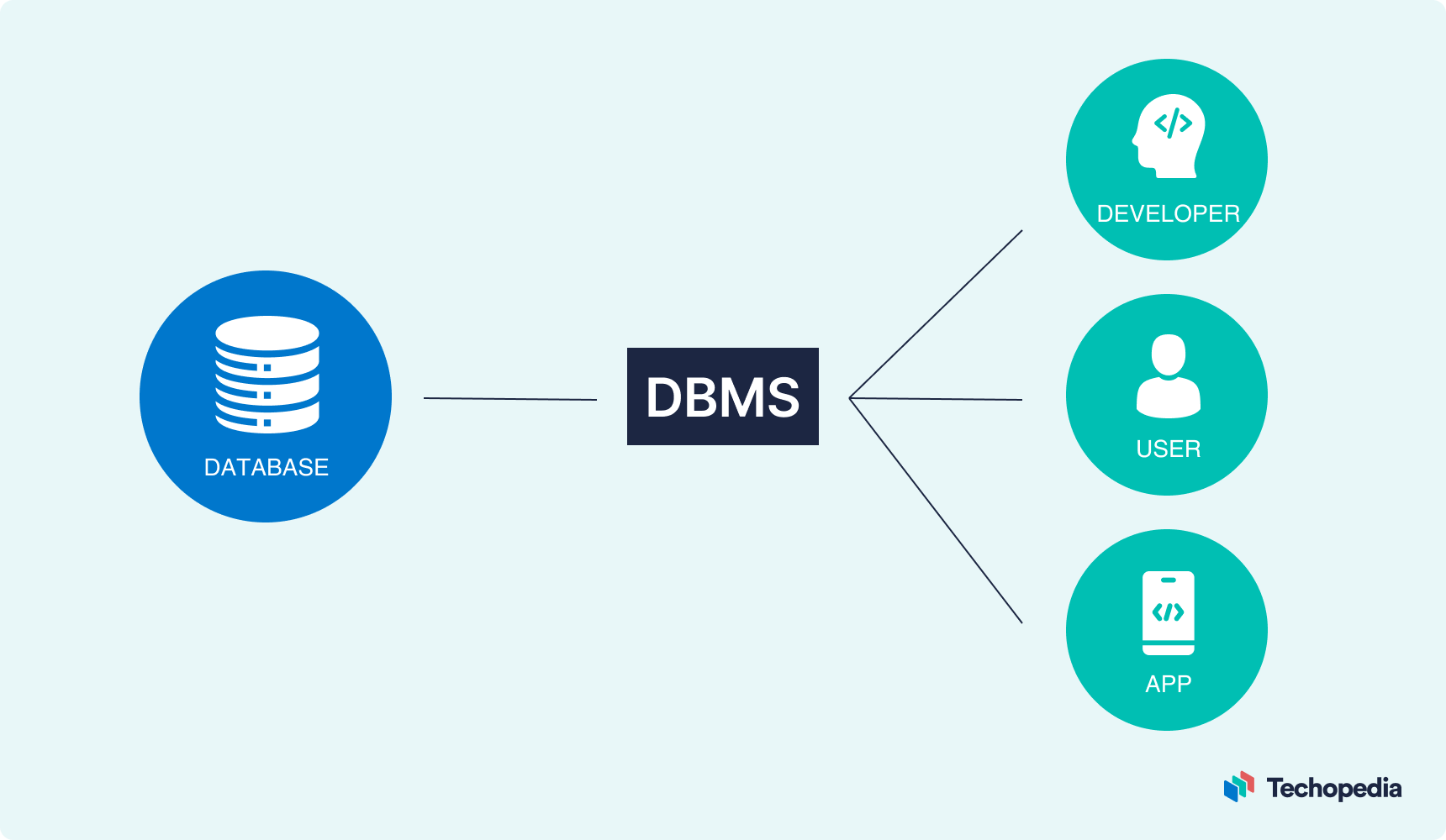 Understanding the Definition of DBMS and its Functions