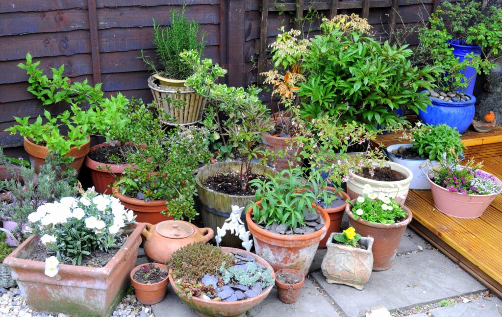 Important Instruments for Patio Gardening